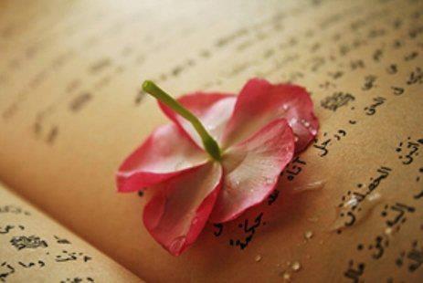 Bilinir ki, Hz. Huzeyfe (r.a), sevgili Peygamberimizin baz zel bilgileri kulana fsldad zel bir sahabedir. Peygamberimiz (s.a.v) cemaatinde bulunan gizli mnafklarn listesini Hz. Huzeyfe'ye vermiti.