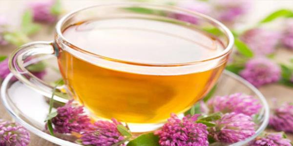 te doadan gelen ecza deposu...  <br>  Sindirim sistemini uyaranlar: Biberiye, kk kantaron.