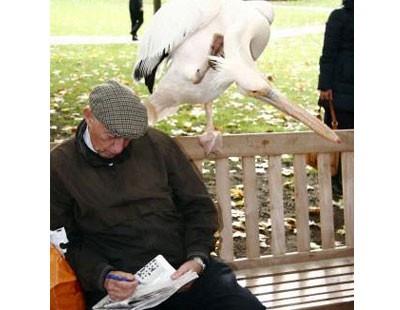 Bulmaca zmekten zevk almak