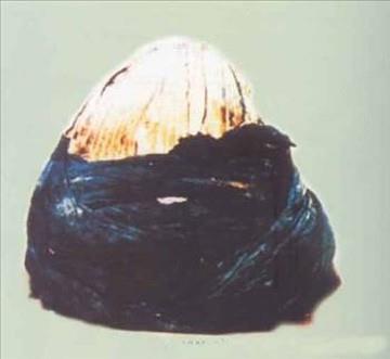 Hz. Muhammed (SAV)'in sar