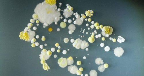 niversiteden Doktor Simon Park, cep telefonlarnn sadece iletiim arac olmadn, bizim kiisel izlerimizi de tadn sylyor. Tabii ayn zamanda yediklerimizi, itiklerimizi de telefonlara bir ekilde bulatryoruz.