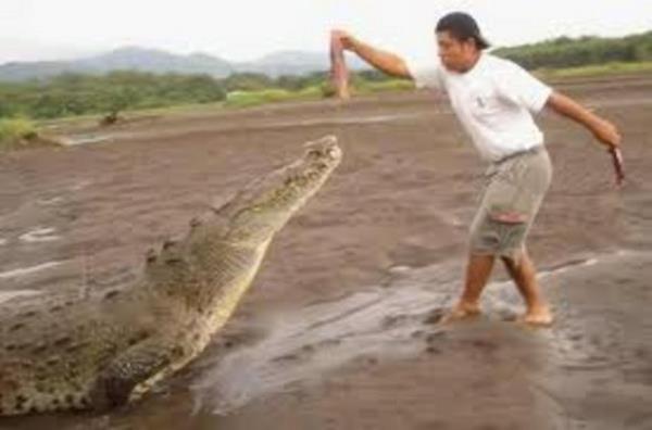 Timsahlarla arkada olan insanlarn cesareti grenleri akna eviriyor...