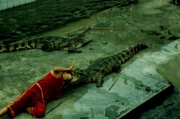 Timsahlarla arkada olan insanlarn cesareti grenleri akna eviriyor...