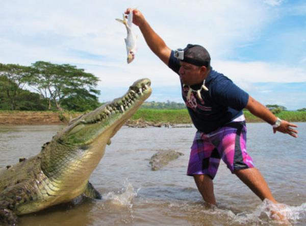 Timsahlarla arkada olan insanlarn cesareti grenleri akna eviriyor...