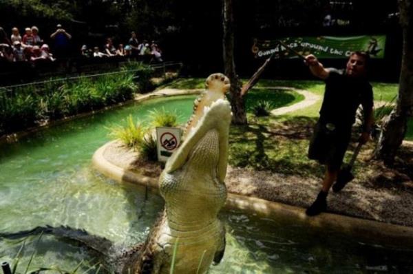 Timsahlarla arkada olan insanlarn cesareti grenleri akna eviriyor...