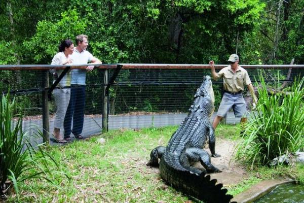 Timsahlarla arkada olan insanlarn cesareti grenleri akna eviriyor...