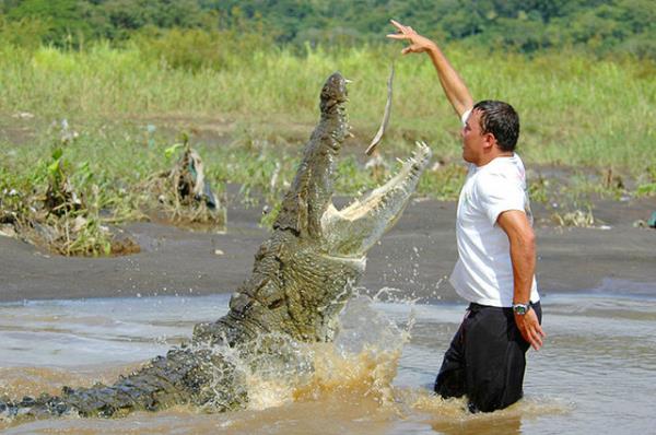 Timsahlarla arkada olan insanlarn cesareti grenleri akna eviriyor...