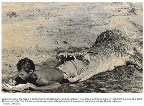 Timsahlarla arkada olan insanlarn cesareti grenleri akna eviriyor...