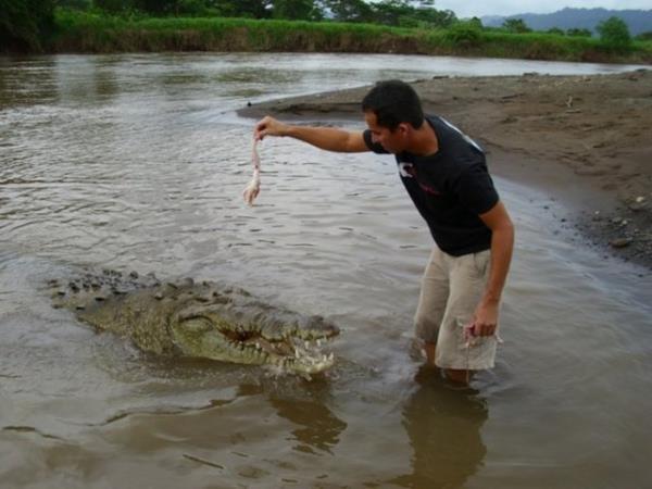 Timsahlarla arkada olan insanlarn cesareti grenleri akna eviriyor...