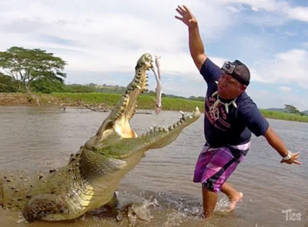 Timsahlarla arkada olan insanlarn cesareti grenleri akna eviriyor...