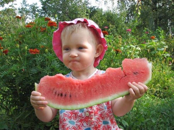 erdii lifler, vitamin ve minerallerin yansra, tok tutan, zayflamaya yardmc olan pekok yaz meyvesi var.Bunlardan en nemlisi karpuz