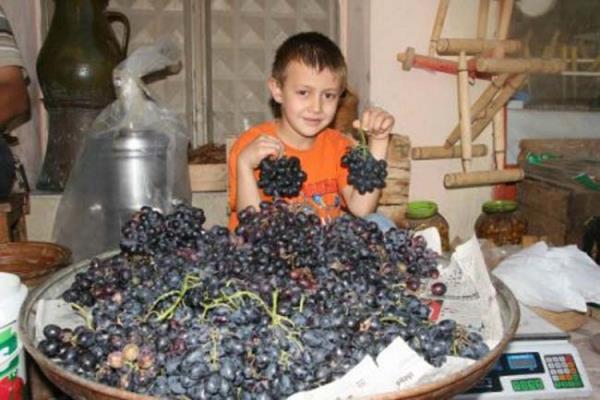 Ayrca, hcreleri DNA'lara zarar veren serbest radikallere kar korumaya yardmc olan gl bir antioksidandr.