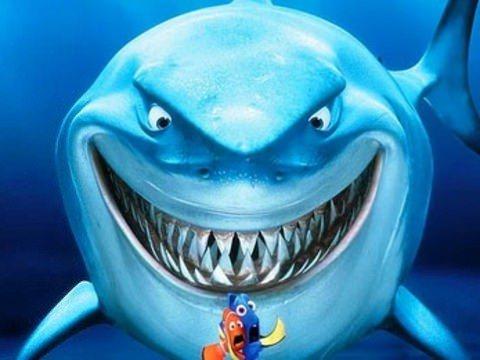 12. Kpek balklar kanser olmaz<br>    Onlar da kansere yakalanr. Kpek balklarnda zellikle deri kanseri ok sk grlr.