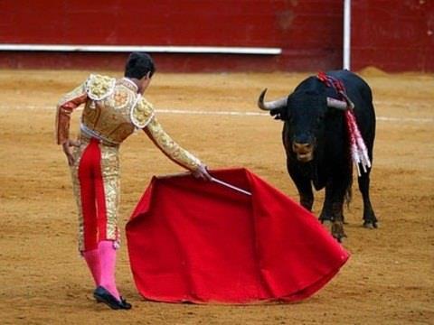 8. Boalar krmzdan nefret eder<br>  Boalar renk krdr. Boa greisinin rt hareketlerini tehdit olarak alglayp ona tepki verirler.