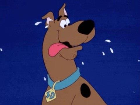 5. Kpekler salya aktarak terler<br>    Hayr. Azlarndan hzl bir ekilde soluk alp vererek vcut scaklklarn dzenlerler. Terleme ilemini aslnda ayak tabanlarndan yaparlar.