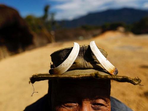Banda yaban domuzu dileriyle ssl bir apkas olan Naga toplumuna mensup bu adam, sylediine gre 100 yanda.