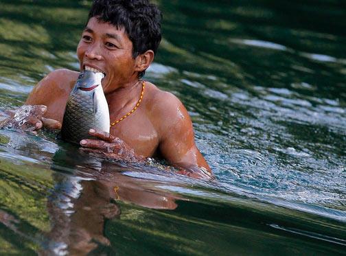 Balklarn patlatt dinamitle sersemlettii balklardan birini dileriyle tutan bir Naga...