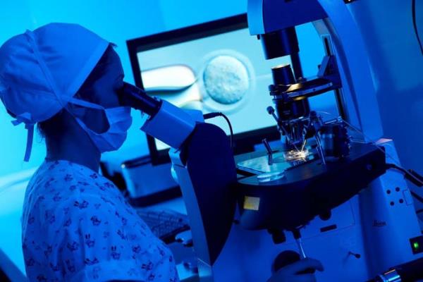 Bu analizler karmak bilgisayar yazlm ve internet araclyla biyoenformatik uzman tarafndan dinamik simlasyonlar ve matematik modelleriyle gelitirilir. Hatta bu uzmanlar ileride 3 boyutlu DNA modelleri bile gelitirebilir.