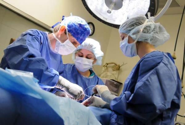 Bilim adamlar ileride sizin hcrelerinizi kullanarak organlar vcudunuza gre organlar kullanmay umuyor. Bu organlar uzun sre organ nakli bekleyenlerin saysn azaltacak ve vcudun reddetme riskiyle de mcadele edecek.