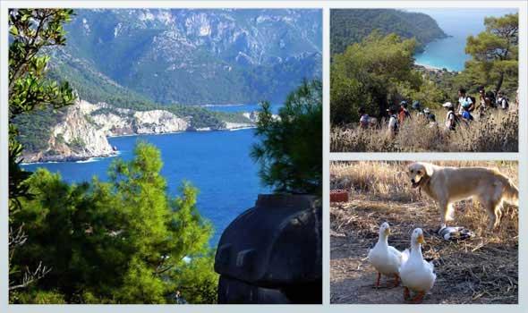 kinci srada, Fethiye'deki Faralya ky geliyor