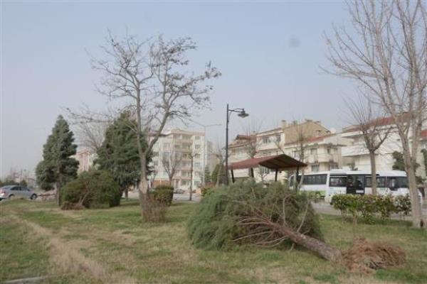 Edirne, getiimiz Aralk aynda yaanan sel ve su taknlarnn ardndan bir kez daha sel felaketiyle kar karya. Tarihi Tunca ve Meri Kprleri, l Kriz Masas kararyla yaya ve ara trafiine kapatld.