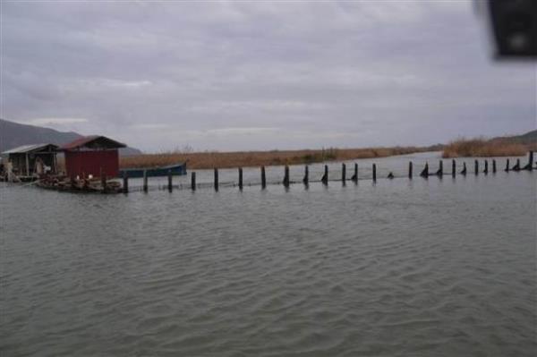Kylarda bulunan iletmecilerin sahilde bulunan eyalarn topladklar gzlendi. Frtna nedeniyle oluan dalgalar ise baz iletmelerin camlarna kadar vurdu. Youn dalgalar Kumbahe sahilinden Cumhuriyet Cadde'sine kadar tat. Cadde zerinde bulunan baz aydnlatmalar ise rzgar nedeniyle zarar grd.