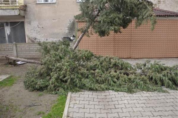 Meteoroloji yetkilileri, "yzyln k yaanacak" eklindeki tahminlerin ise, gerei yanstmadnn altn izdi.