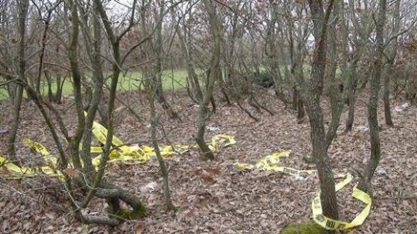 Emniyet ve Belediye ekipleri kmenin olduu noktaya gvenlik eridi ekerek nlem ald.