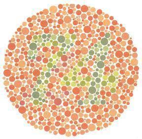 Krmz-yeil renk kr olanlar 21 normal grenler 74 olarak grr. Tm renklere kr olanlar hibir ey gremez.