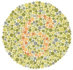 Normal grenler 6 olarak grr. Tm renklere kr olanlar hibir ey gremez.