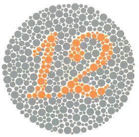 Renk kr olup olmadnz anlamak iin testi srasyla takip edin...