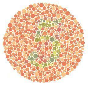 Krmz-yeil renk kr olanlar 2 normal grenler 5 olarak grr. Tm renklere kr olanlar hibir ey gremez.