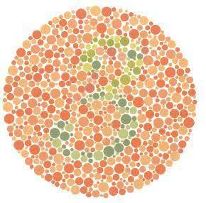 Krmz-yeil renk kr olanlar 5 normal grenler 3 olarak grr. Tm renklere kr olanlar hibir ey gremez.