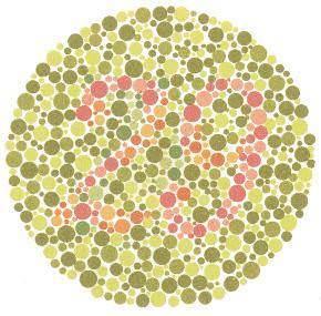 Renk krl testi Renk krl testi Krmz-yeil renk kr olanlar 70 normal grenler 29 olarak grr. Tm renklere kar renk kr olanlar hibir ey gremez.