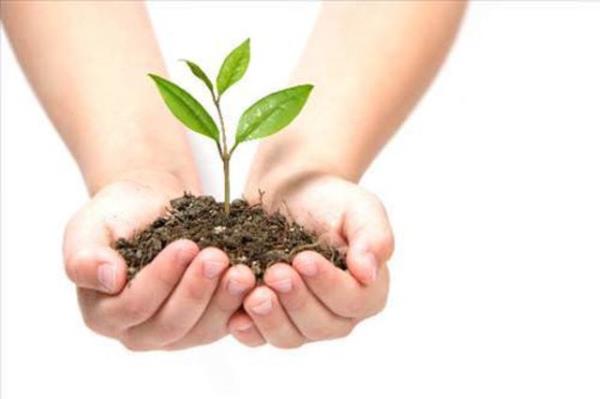 Bu gerei gayet iyi bilen bilim adamlar Norve'te, zel koullara sahip bir tohum deposu kurarak kyamet gn hazrlklarnn ilk ciddi admn att. Ve en nemlisi, yaplan aratrmalarda, bir bitki tohumunun 200 yl boyunca saklanabildii ortaya kt