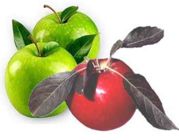 Meyve-sebze reticilerinden ve ithalatlarndan alnan detaylara gre, ngiltere'de ylda ortalama 5 milyon adet elma tketiliyormu