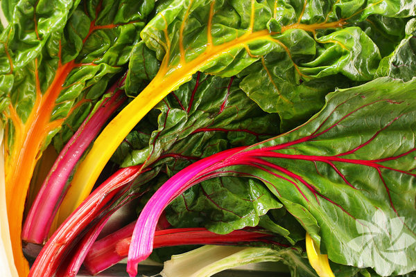 1- Kan ekerini dzenlemeye yardmc olur.  <br>  2- Kanser nleyici sebzeler arasnda yer alyor.