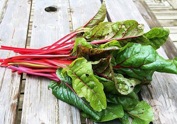 9- Gzleri korur.  <br>  10- Kanszl giderir.