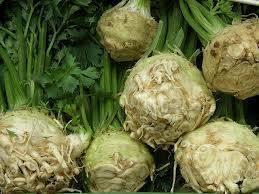 Kereviz  <br>  yi bir antioksidandr. Sindirim sistemini rahatlatc bir etkiye sahiptir. Kerevize zel kokusunu veren fitalid maddesi, kandaki stres hormonunu azaltr. Damarlarn gevemesini ve kolesteroln dmesini salar. Karacieri korur. Siroza dnebilme riski olan Hepatit B ve C hastalarnn kerevizi haftada en az bir kez tketmeleri nerilir