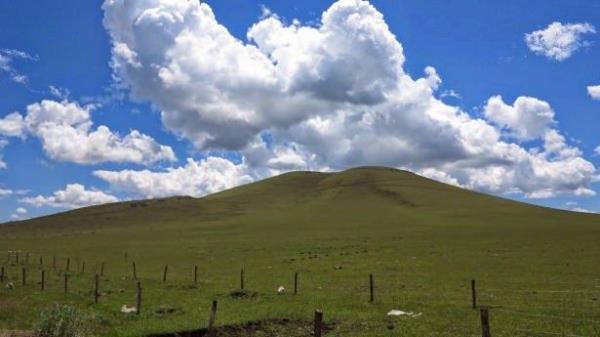 Kars<br>  &#8203;Milletvekili says: 3