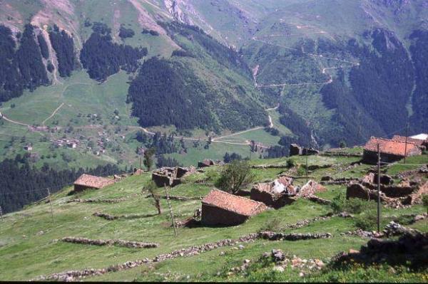 Gmhane<br>    &#8203;Milletvekili says: 2