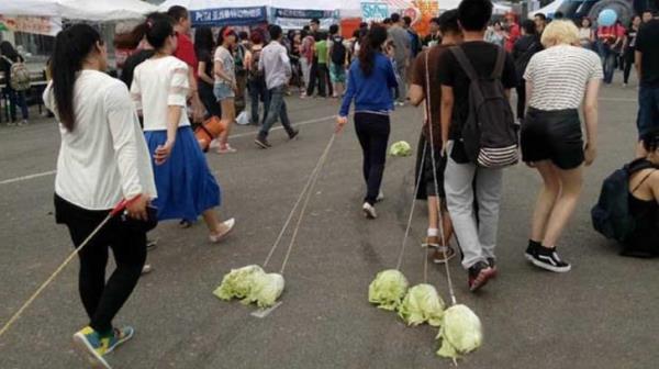 Dnyann dier ucundaki insanlarn moda akmlarn grp ok geirmek  <br>  Psikolojisi bozulan inli arkadalar, adeta minno kpeklerini gezdiriyor gibi marul gezdiriyorlar. Biz de internette bunu grp ok oluyoruz. Halimize krediyoruz.