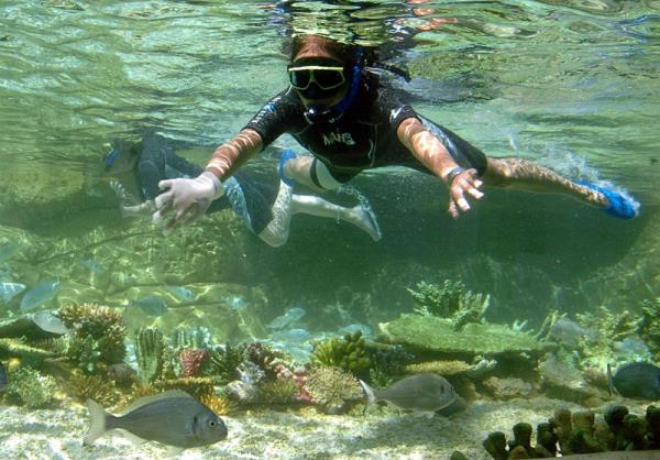 Balklarla yzdn grmek: Her zaman hayra yorulan, gzel bir ryadr! Berekettir!