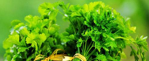 Enerjisiz kalmamak iin 1 demet maydanozu 'blender'dan geirip sebze suyla kartrn. Bir-iki damla ac biber sosu ekleyin ve bunu bir gzel iin. Bu iecein iindeki C vitamini ve bitkisel maddeler ya ykmn kolaylatrr.