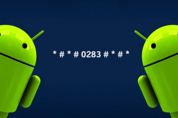 Paket geri dng testi