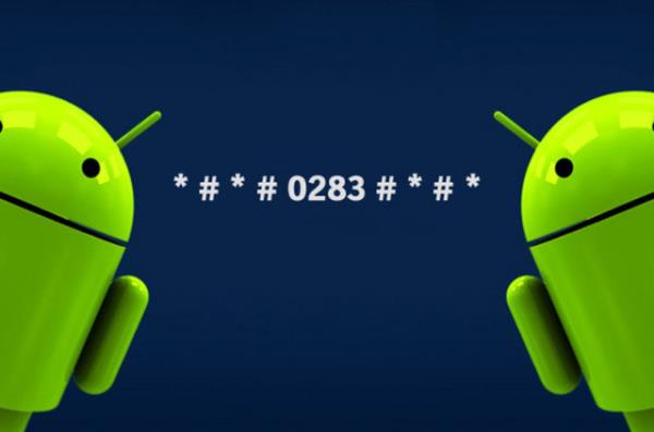 Paket geri dng testi