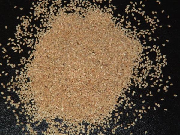 Susam: eriinde bulunan bol kalsiyum sayesinde dileri kuvvetlendirir. Bakteri pla dman olmas sebebiyle diler zerinde oluan bu plaklar kazr ve ocuklarn dilerindeki mine oluumuna katkda bulunur."