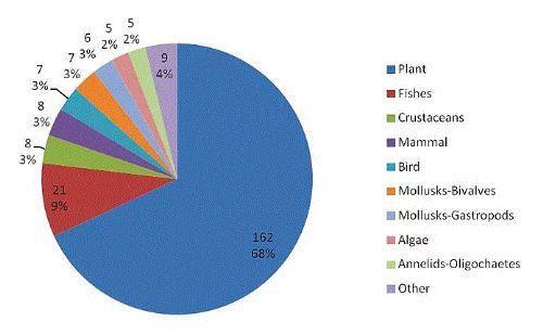 Tm trlerin yaklak olarak sadece %14' tanmlanabilmitir.