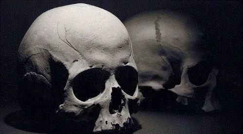 Her saniye 2 insan hayatn kaybetmektedir