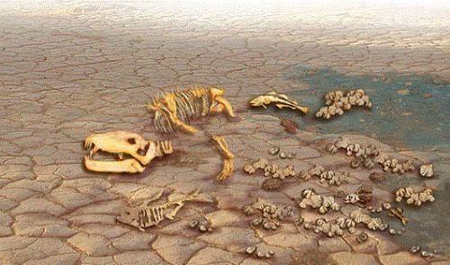 nmzdeki 300 yl ierisinde, gnmzde var olan trlerin tamamnn %75'inin soyu tkenecektir.